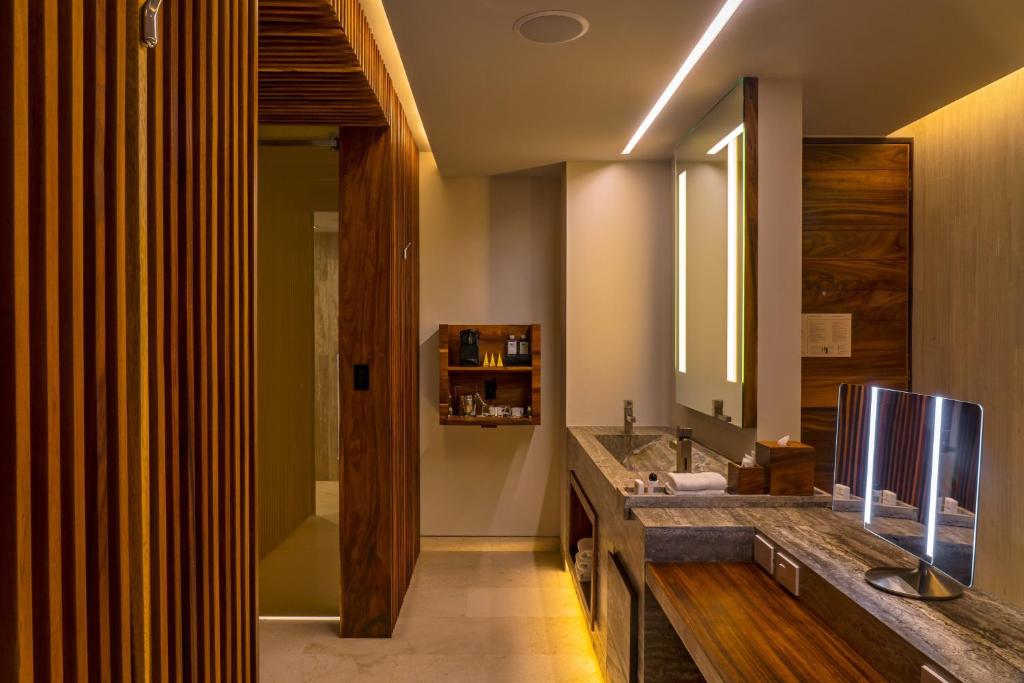 Solaz, Los Cabos (Oasis Room 1 King Bed) image 9