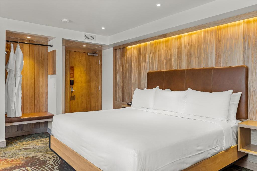 Otter Banff (Superior King Room) image 2