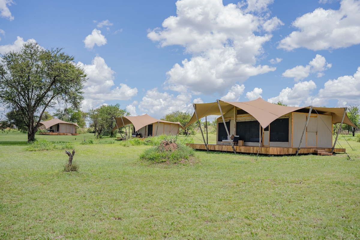 Anantya Serengeti Luxury Tent image 5