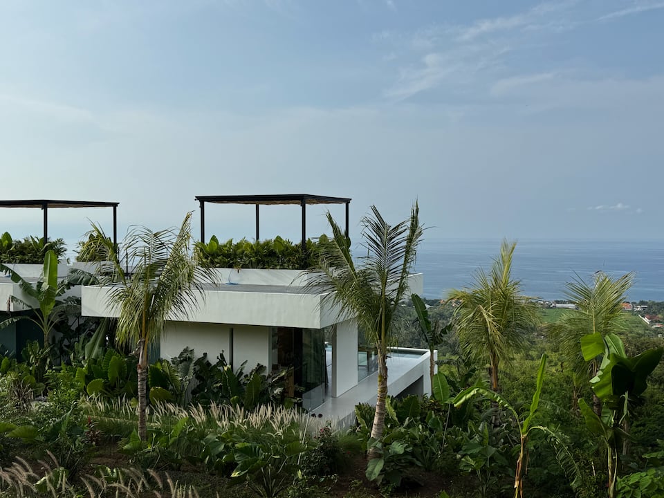 Baliwood Where The Jungle Meets The Ocean image 1
