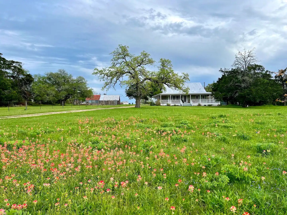Luxury Round Top Farmhouse image 10