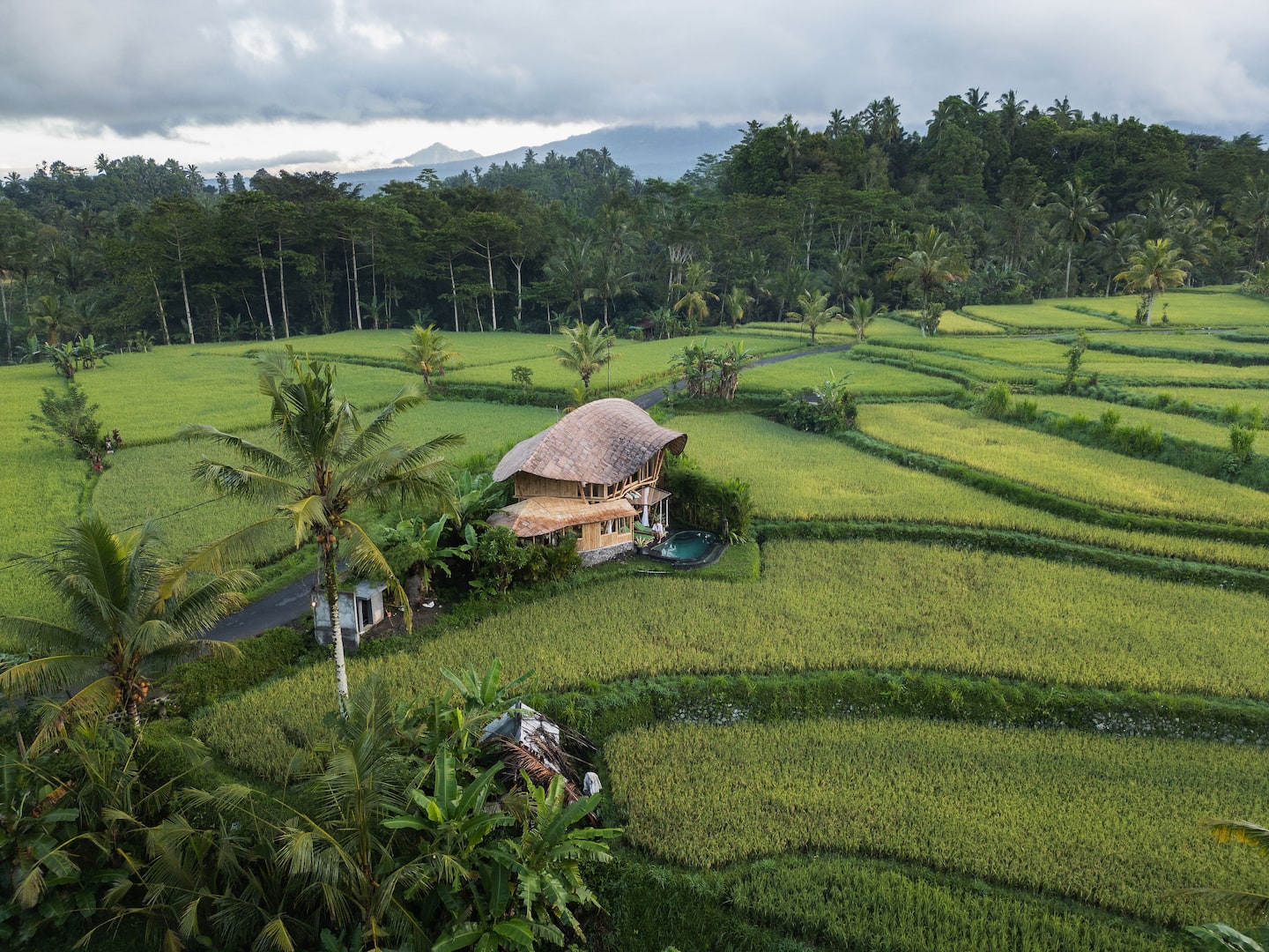 Sawah Bamboo House image 7
