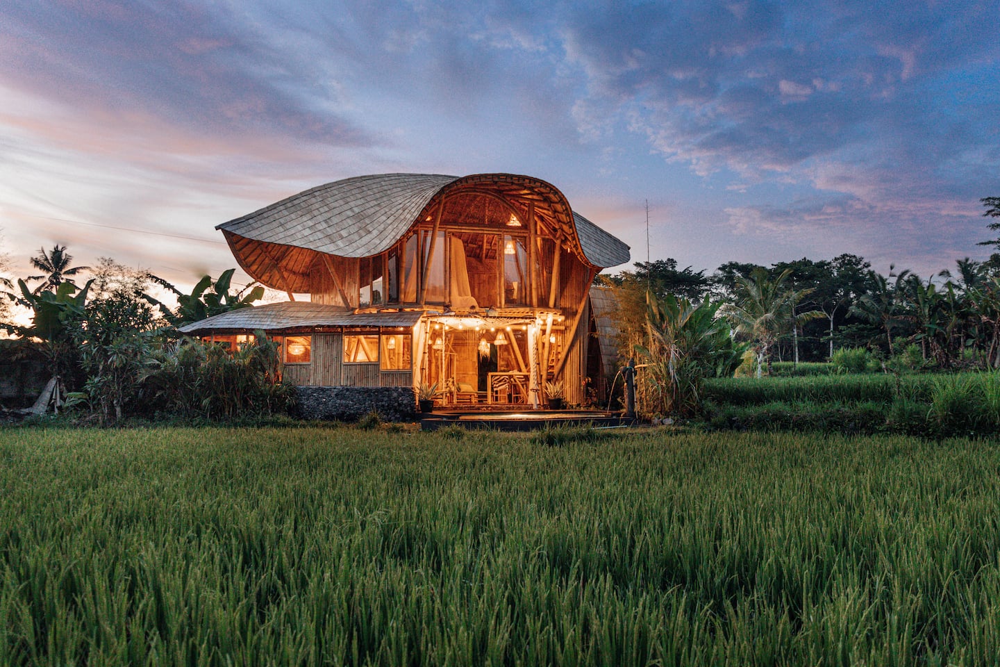 Sawah Bamboo House image 9