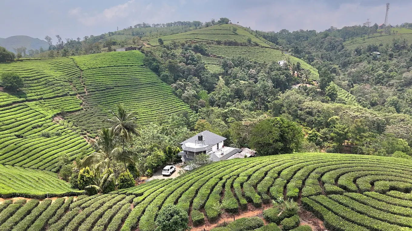 Vagamon Tea valley, Thottom Stays  image 8