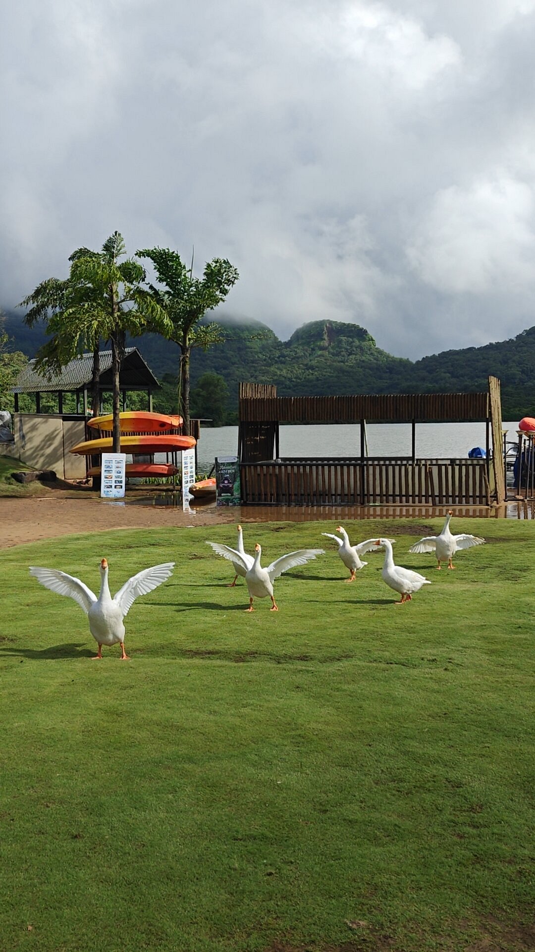 Canary Islands (Woodpecker Cottage) image 2
