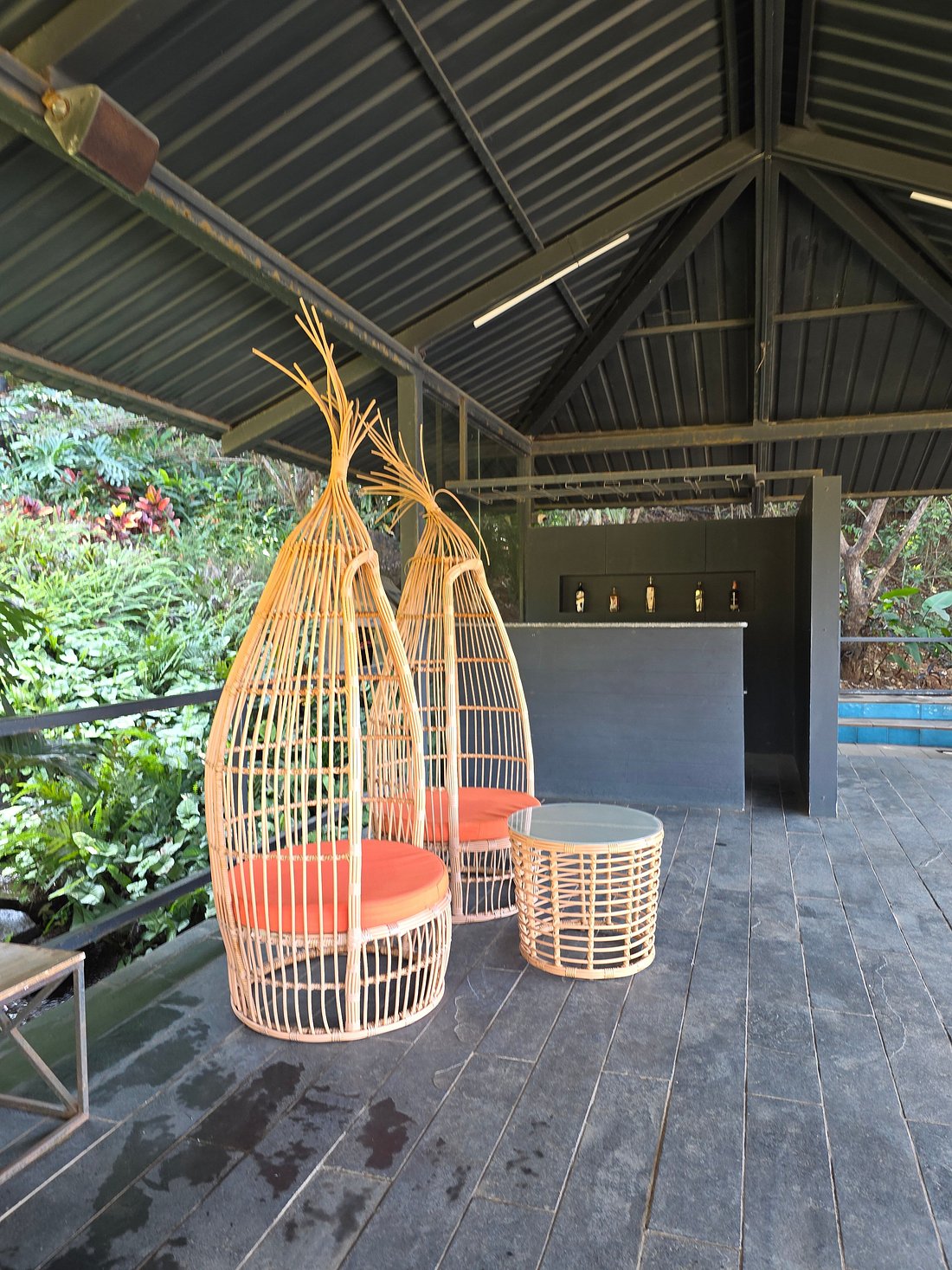 Canary Islands (Woodpecker Cottage) image 4