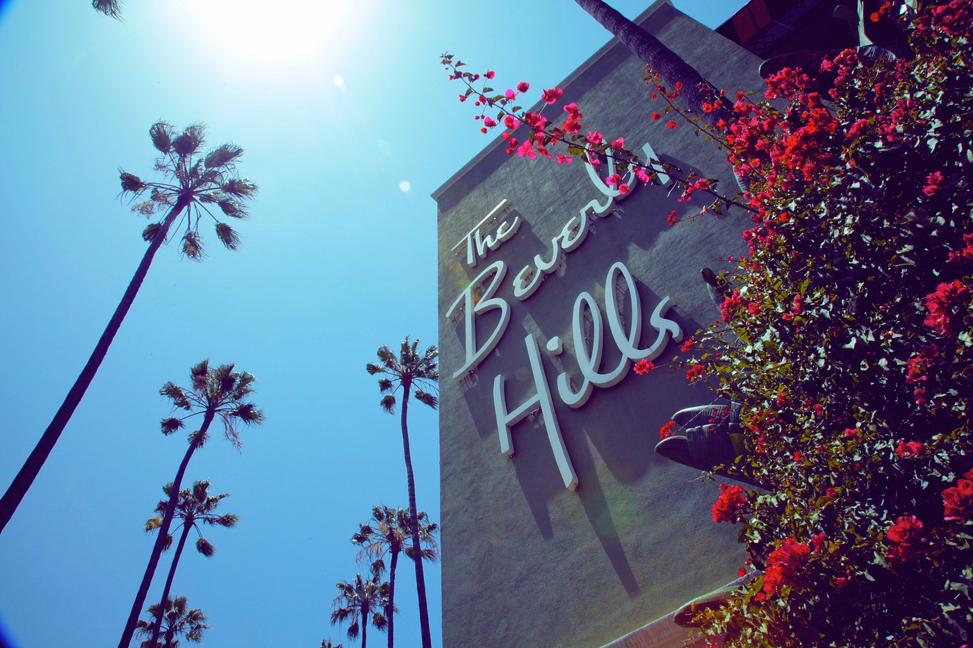 The Beverly Hills Hotel (Superior King Room) image 1