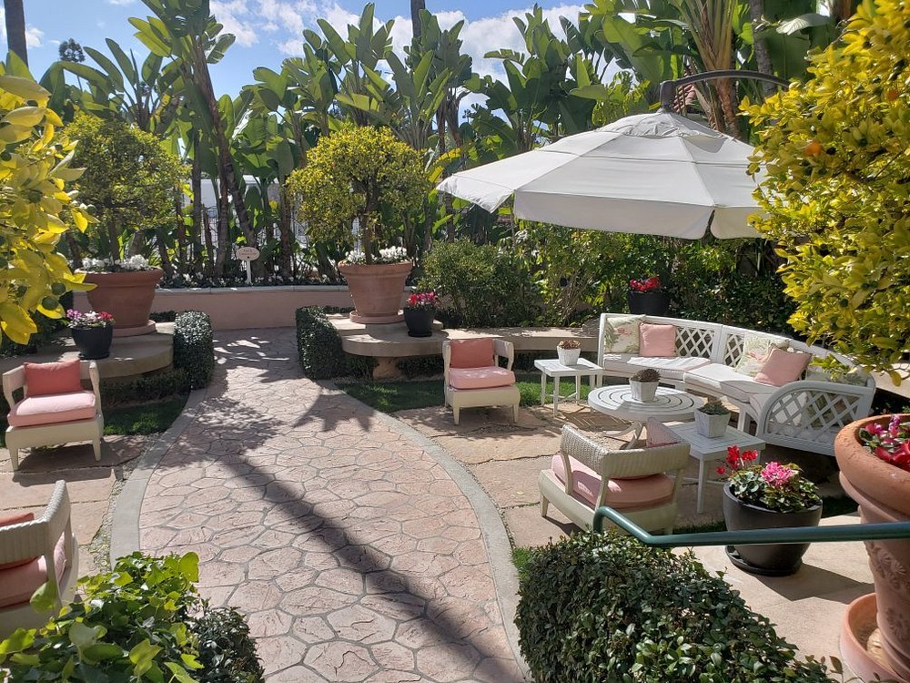 The Beverly Hills Hotel (Superior King Room) image 8
