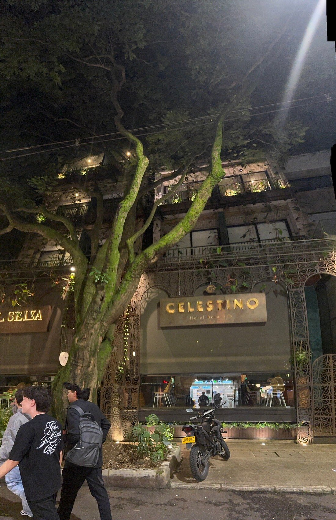 Celestino (Internal Standard Double Room)
 image 1