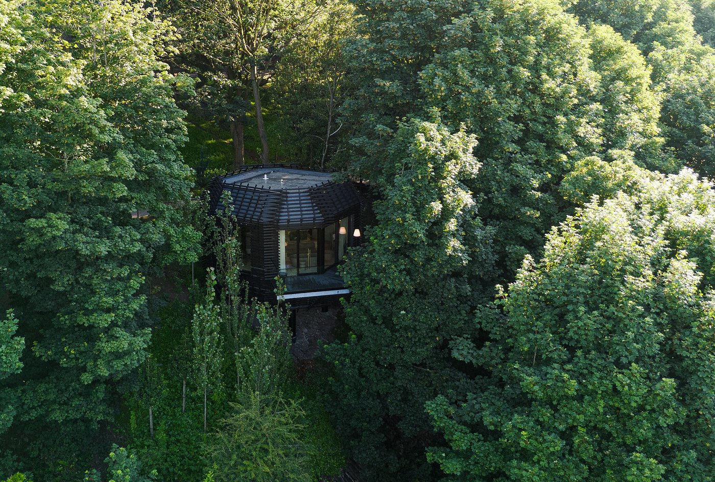 The Montenotte (The Woodland Suite) image 3