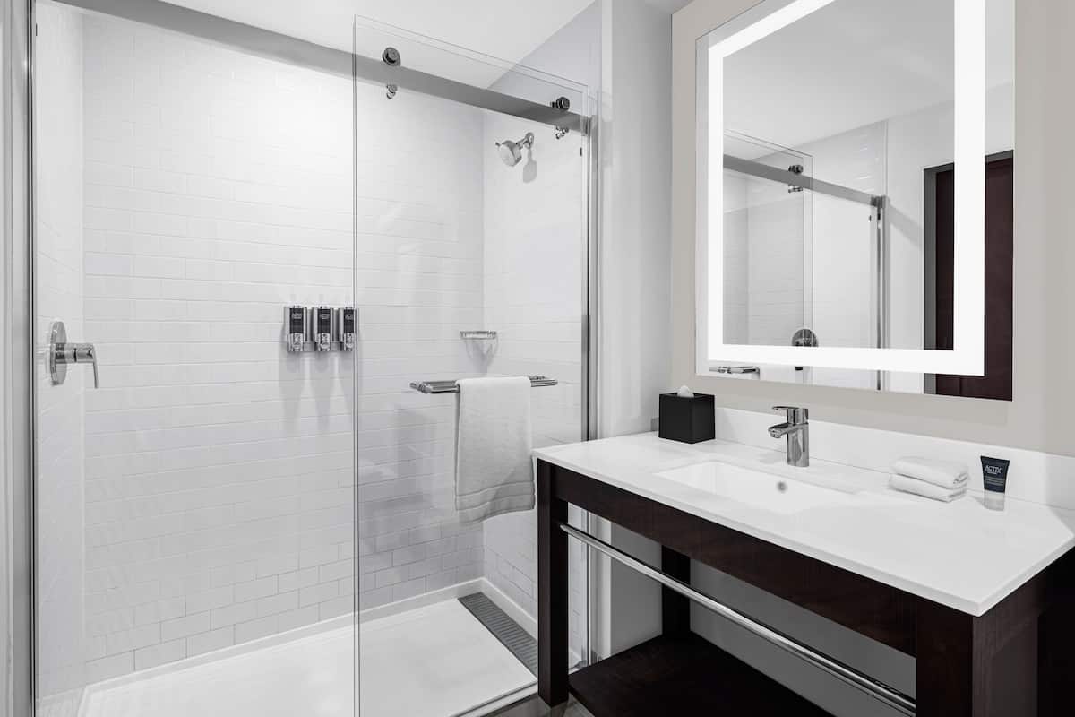 Deluxe Single Room Four Points bySheraton Flushing image 3