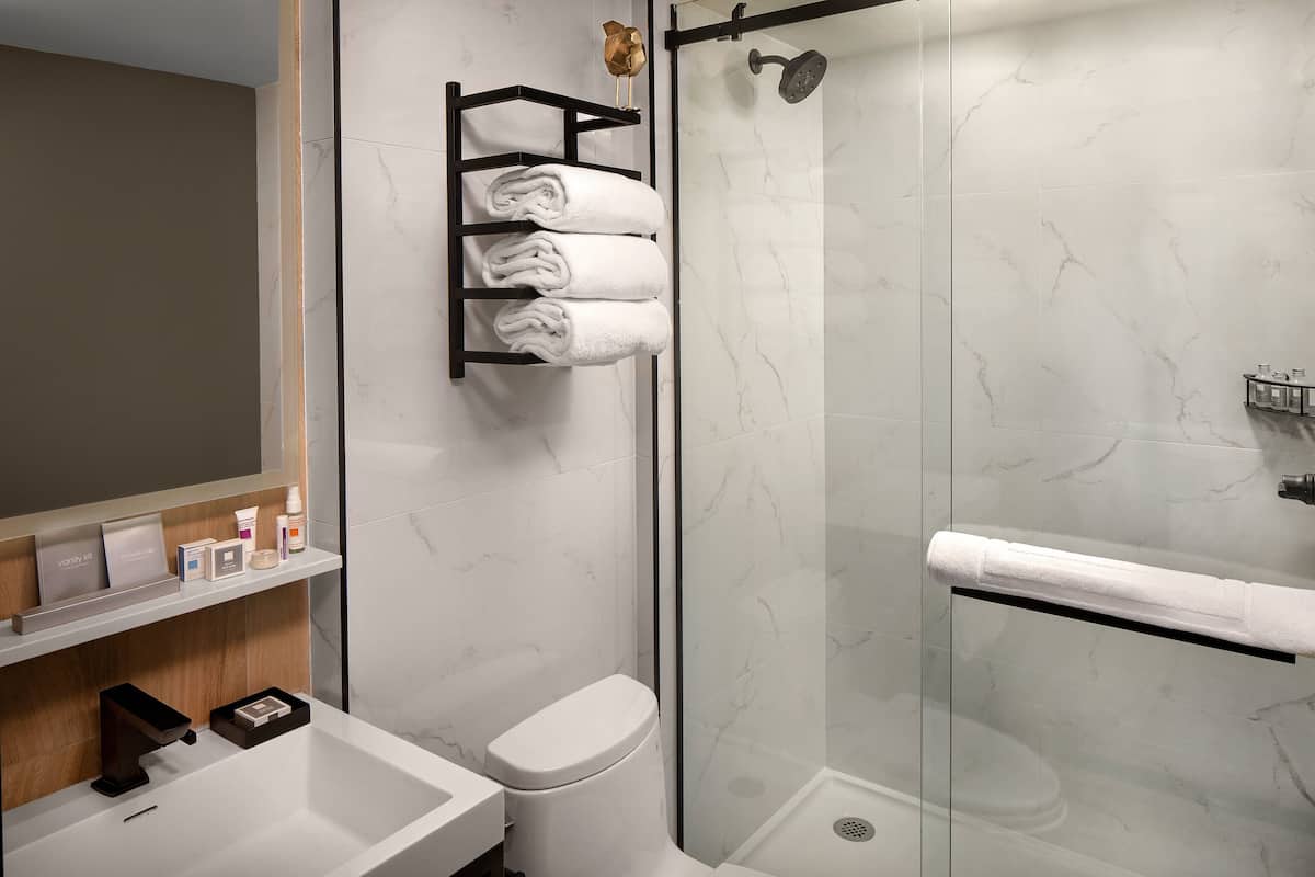 Premium Room, 1 King Bed Hotel Indigo - NYC image 6