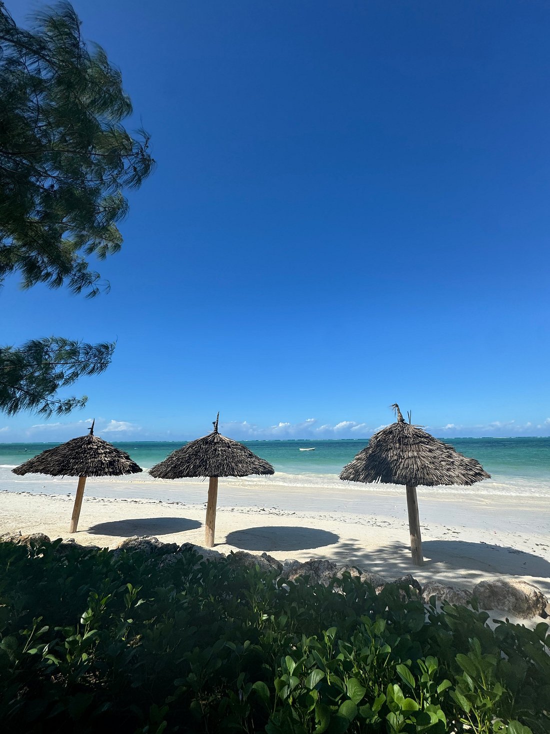 Mala Boutique Hotel (Suite with Garden View) image 9