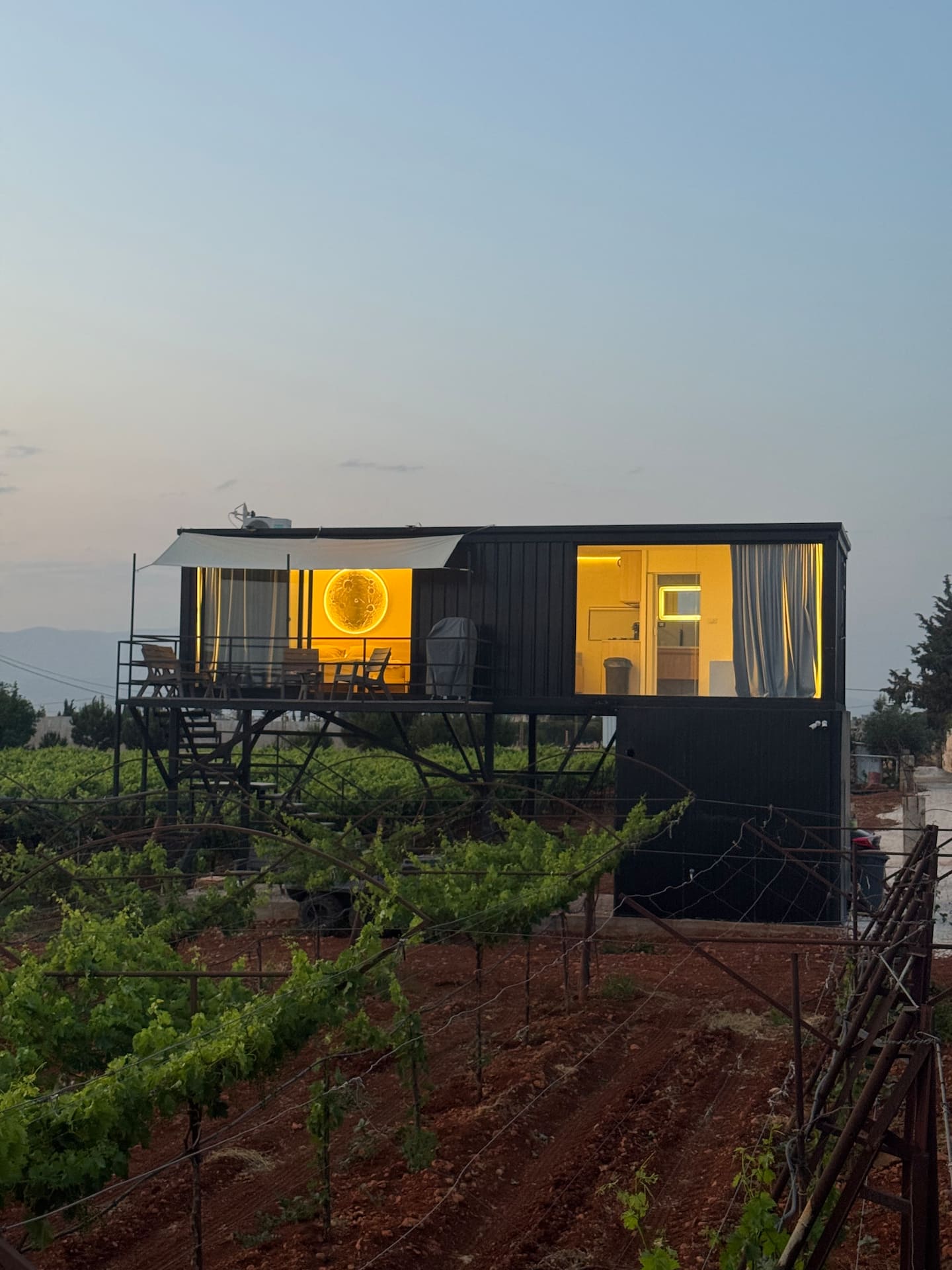 Vineyard, Lebanon image 1