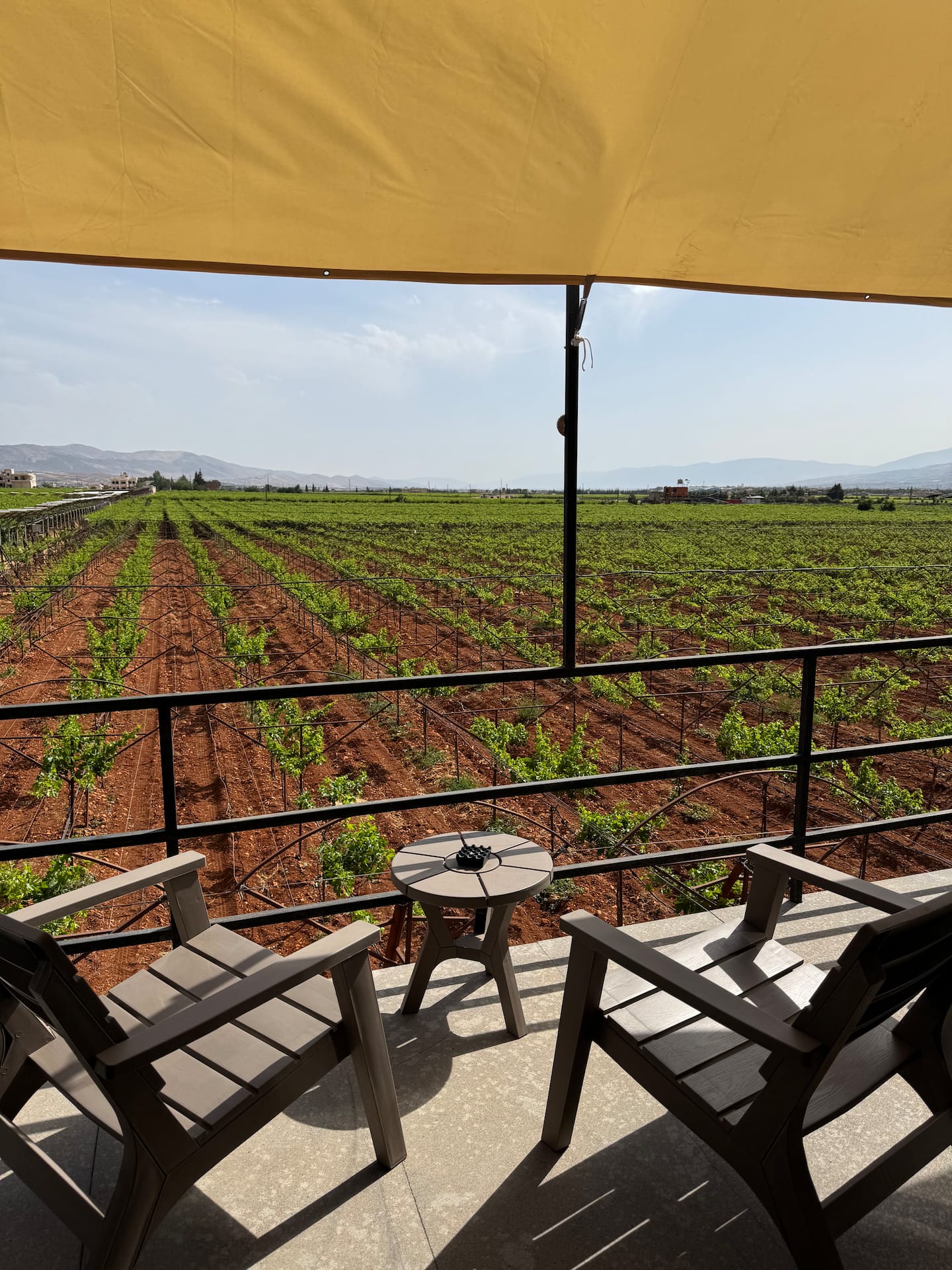Vineyard, Lebanon image 5
