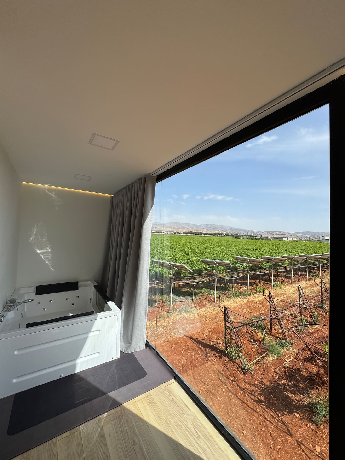 Vineyard, Lebanon image 8