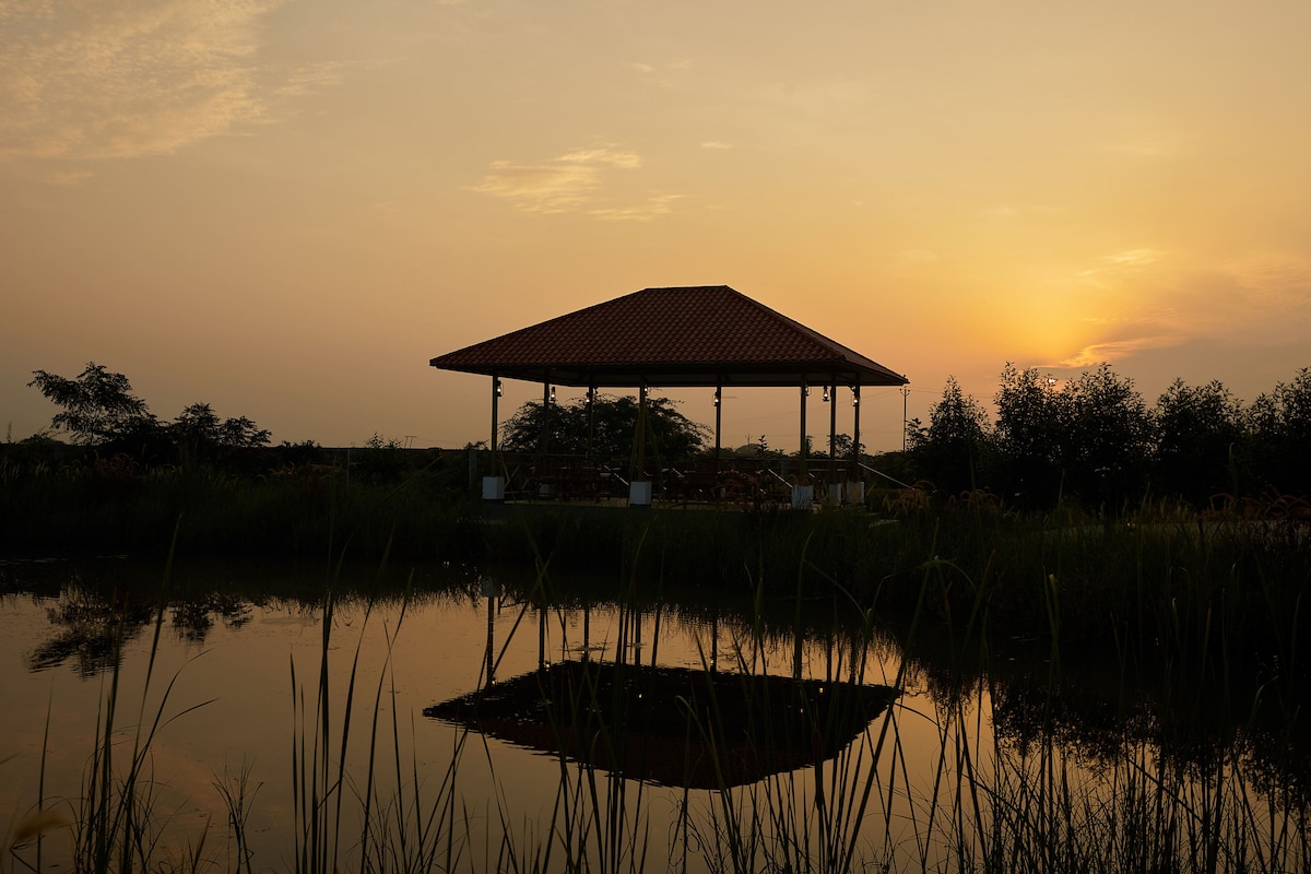 Blackbuck Safari Lodge (Deluxe Room) image 8