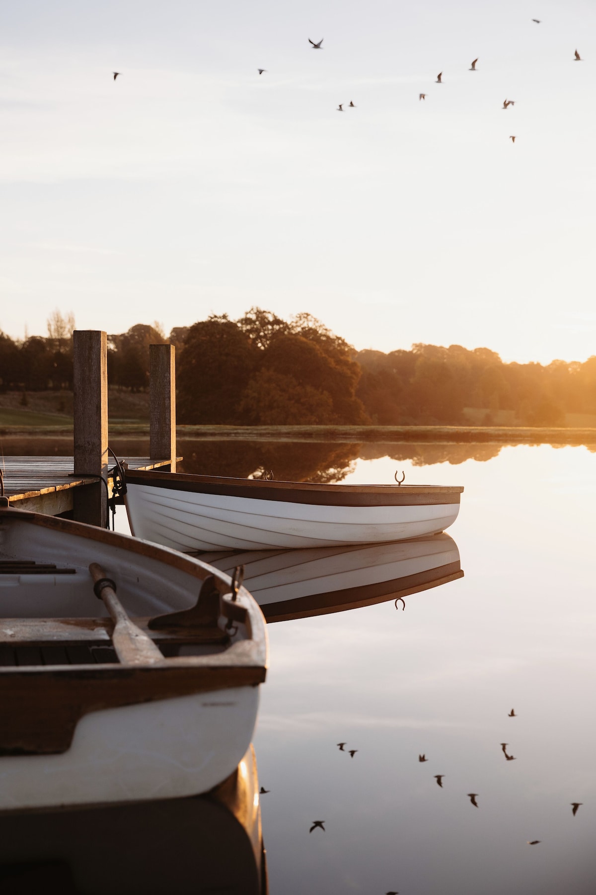 Glasson Lakehouse (The Lakeview Classic) image 6