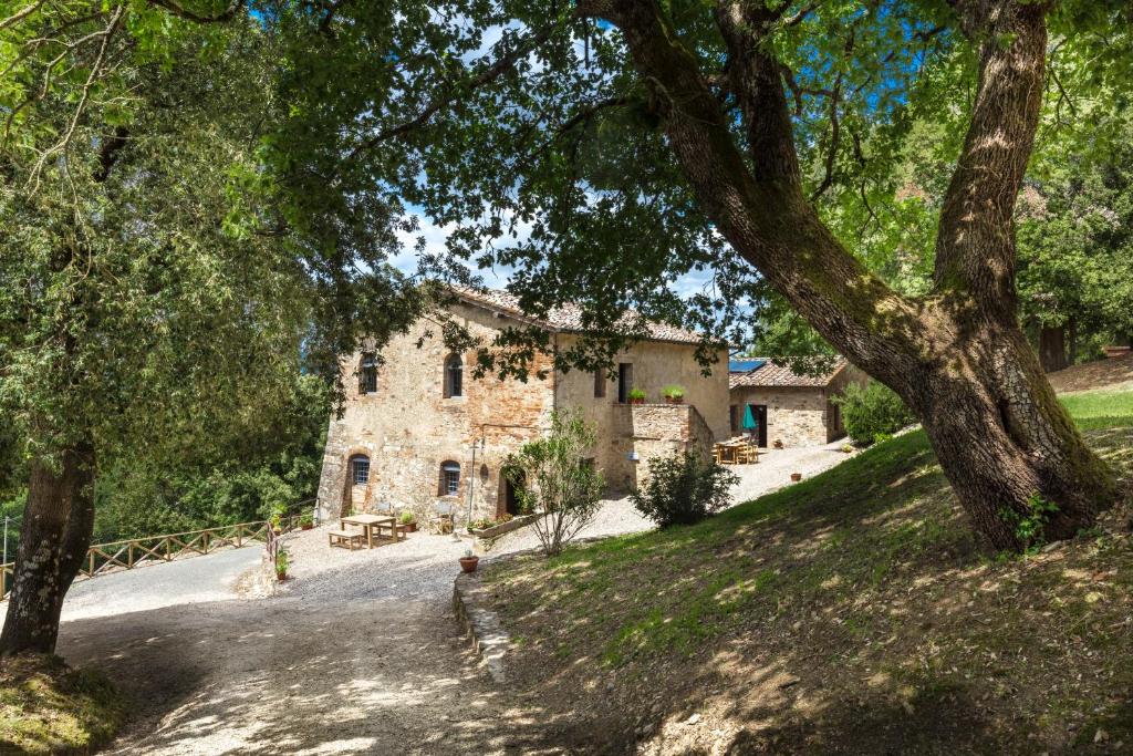 Tenuta di Murlo image 6