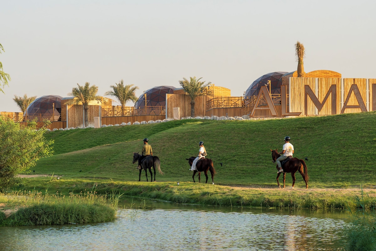 Al Marmoom Oasis (Dome) image 1