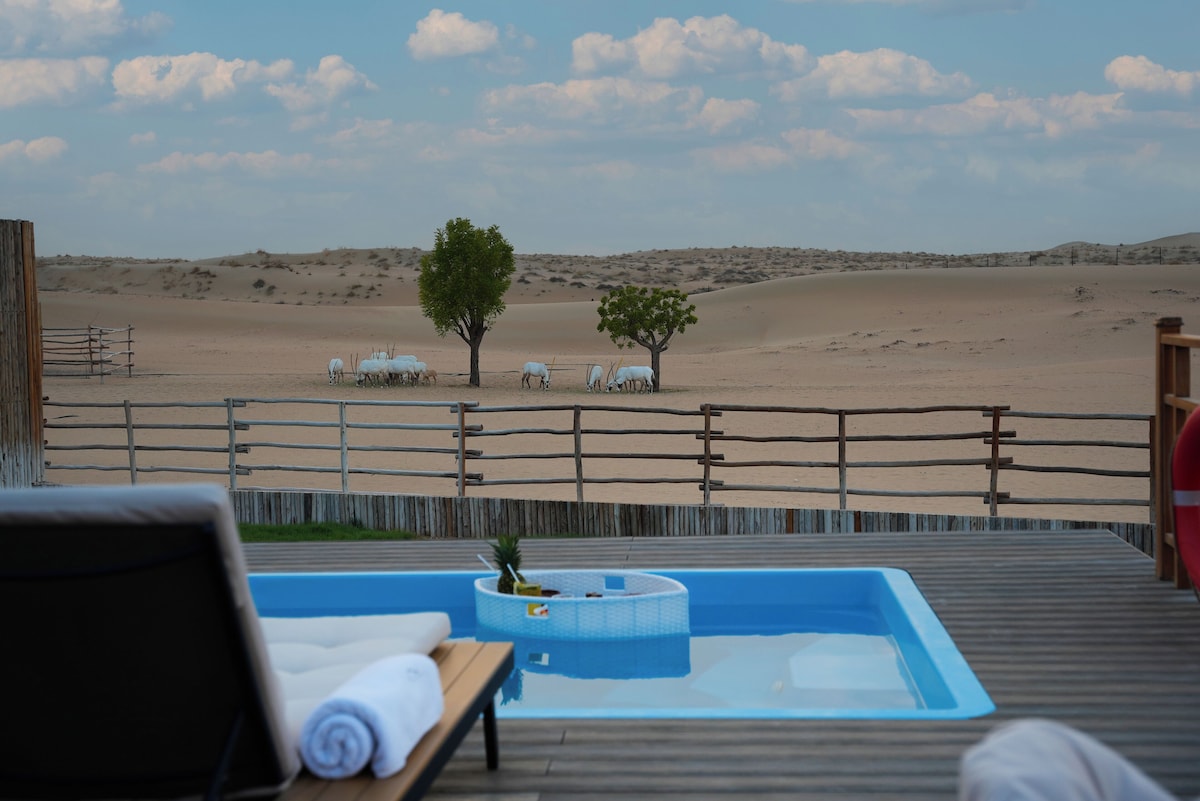 Al Marmoom Oasis (Dome) image 7