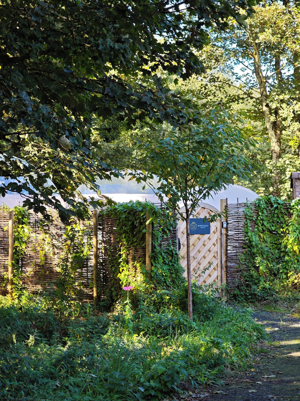 Cromore Retreat (Suite) image 1