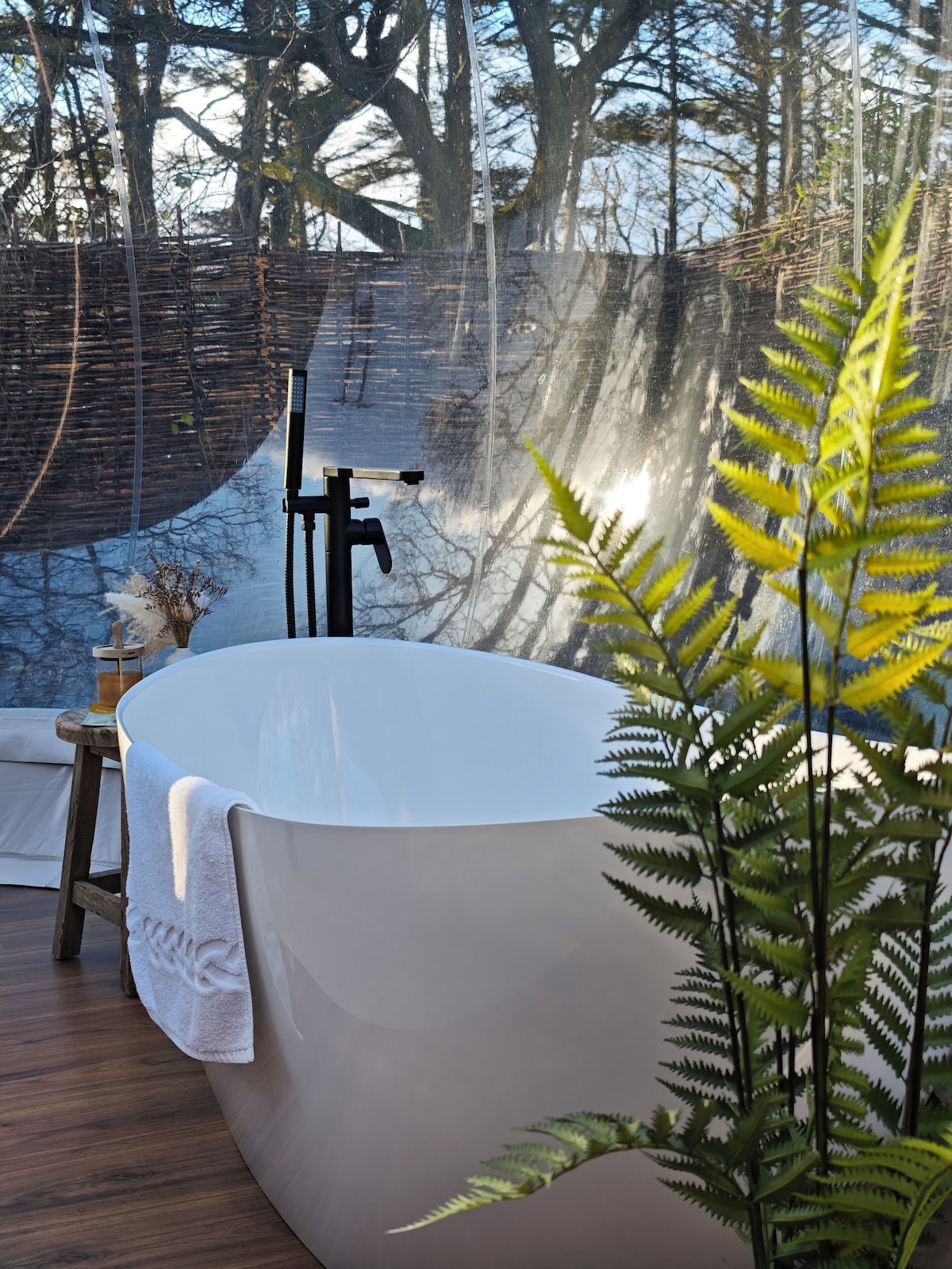 Cromore Retreat (Suite) image 7