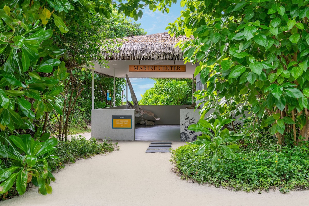 Le Meridien Maldives Resort & Spa image 3