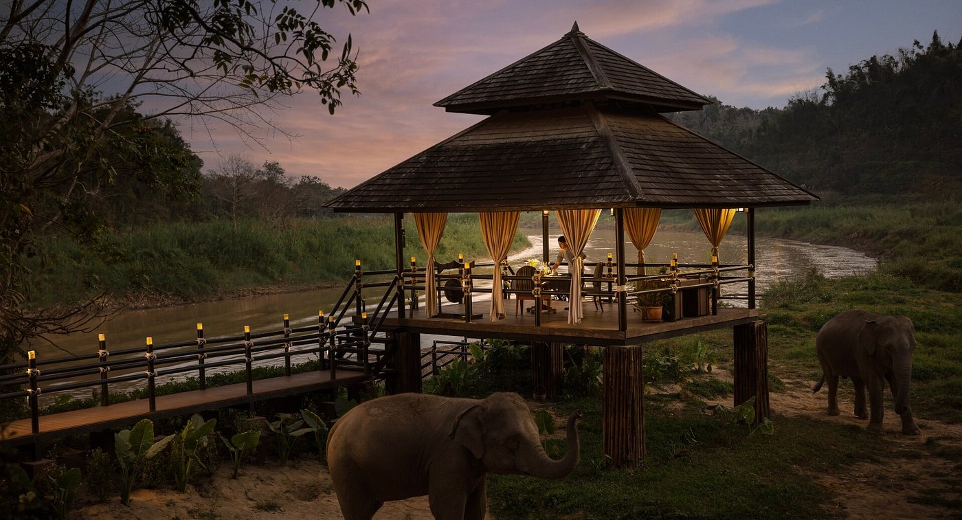 Anantara Elephant Camp (Jungle Bubble) image 3