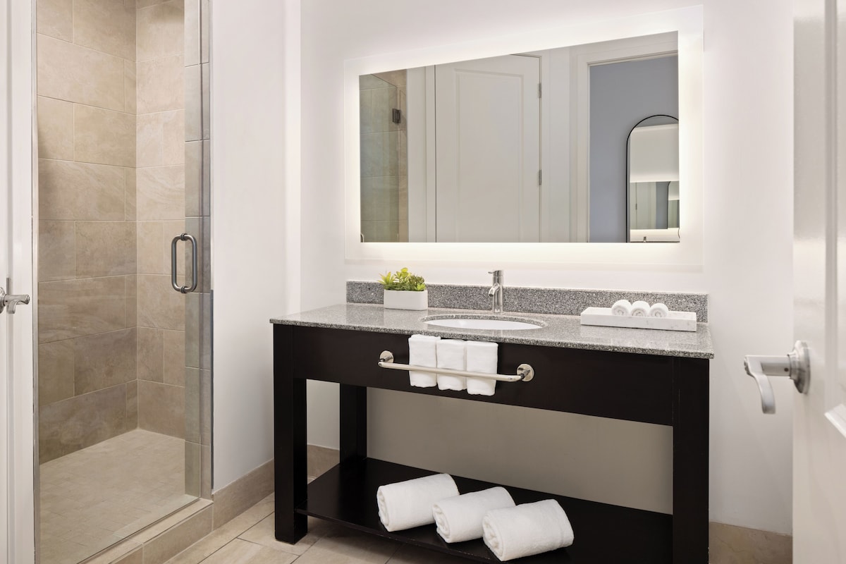 The Hotel Zamora (King Standard) image 7