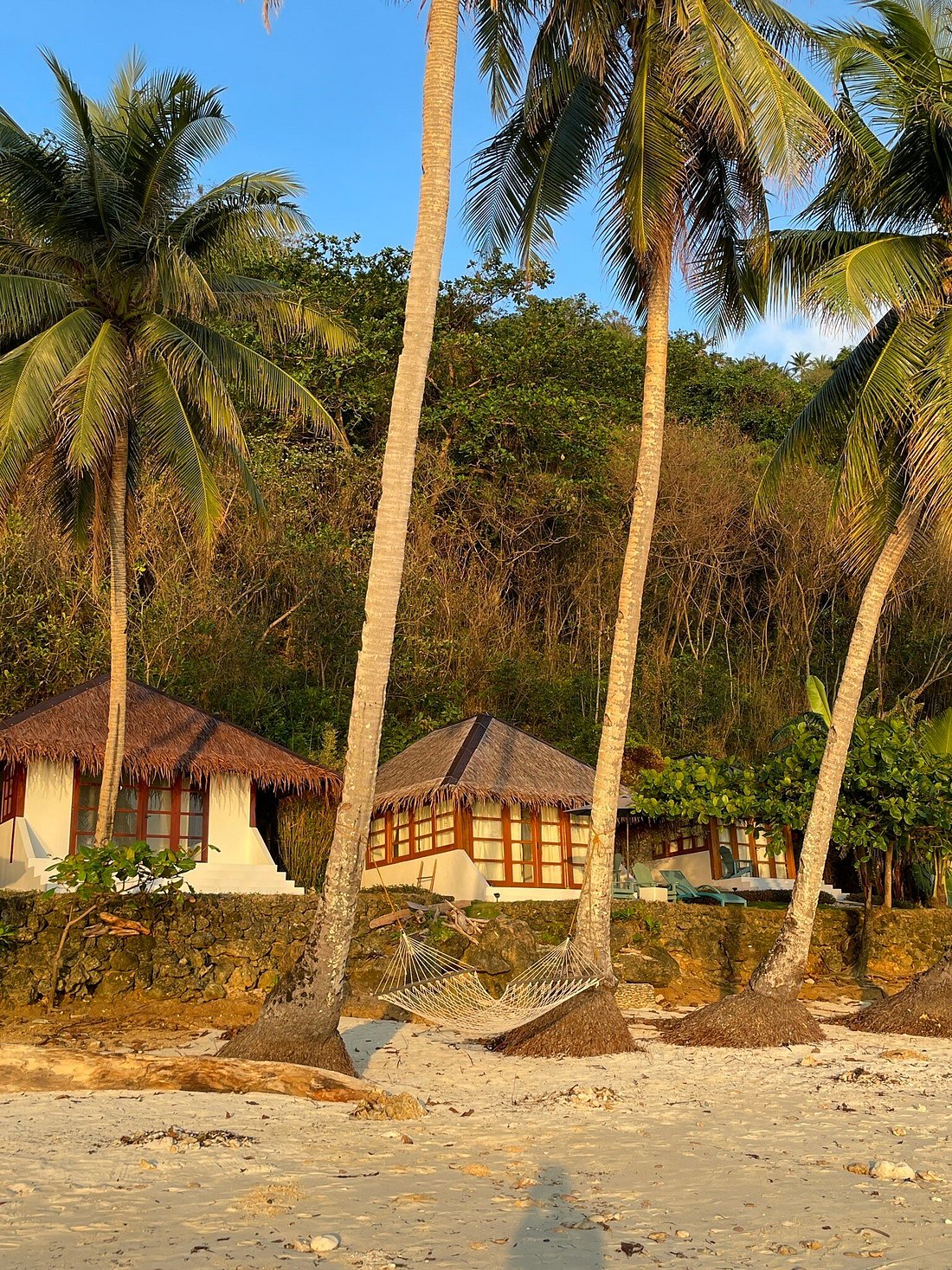 Tuburan Cove (Bungalow - Beach Front) image 10