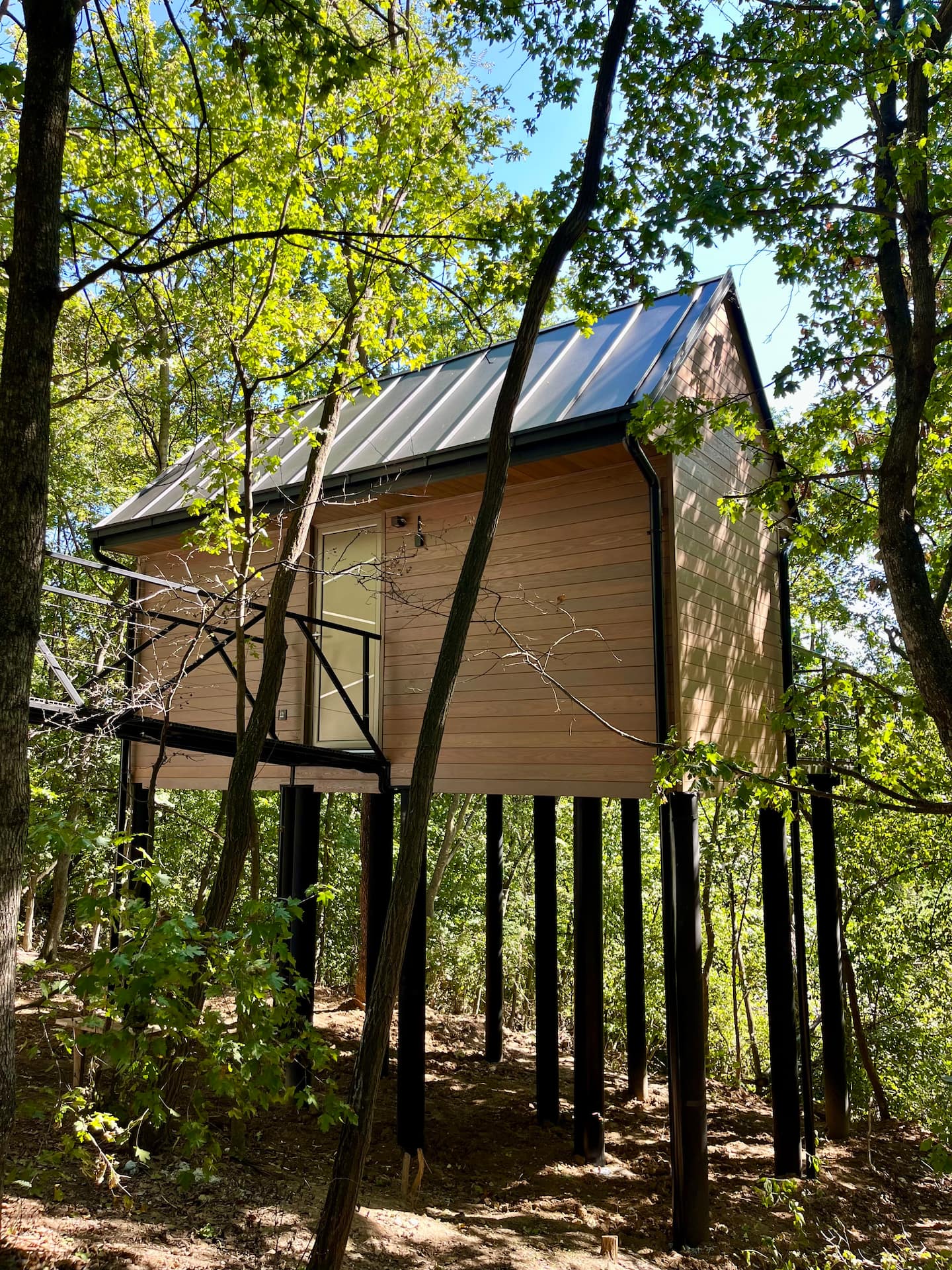 Furo Treehouse image 1