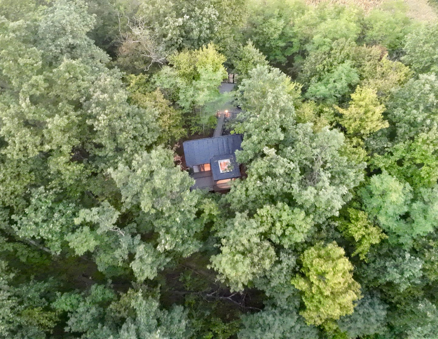 Furo Treehouse image 10