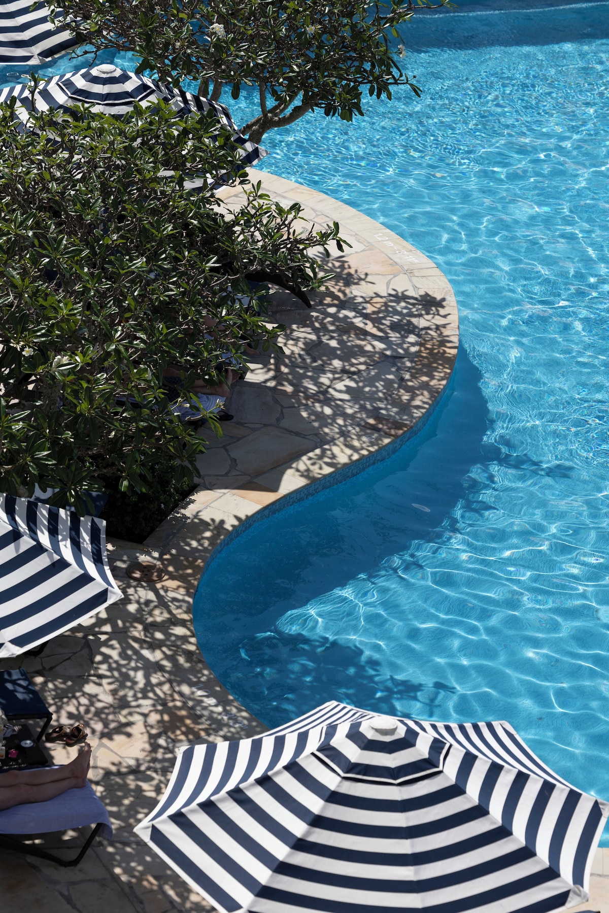 Elysium Noosa Resort (Wellness Suite) image 8
