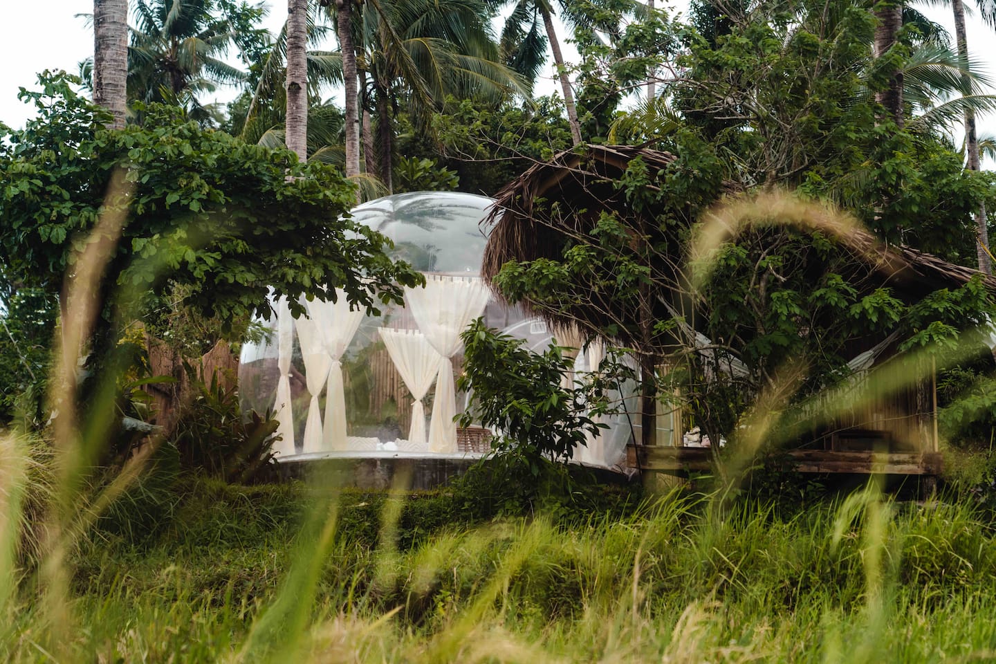 Bubble Siargao image 2