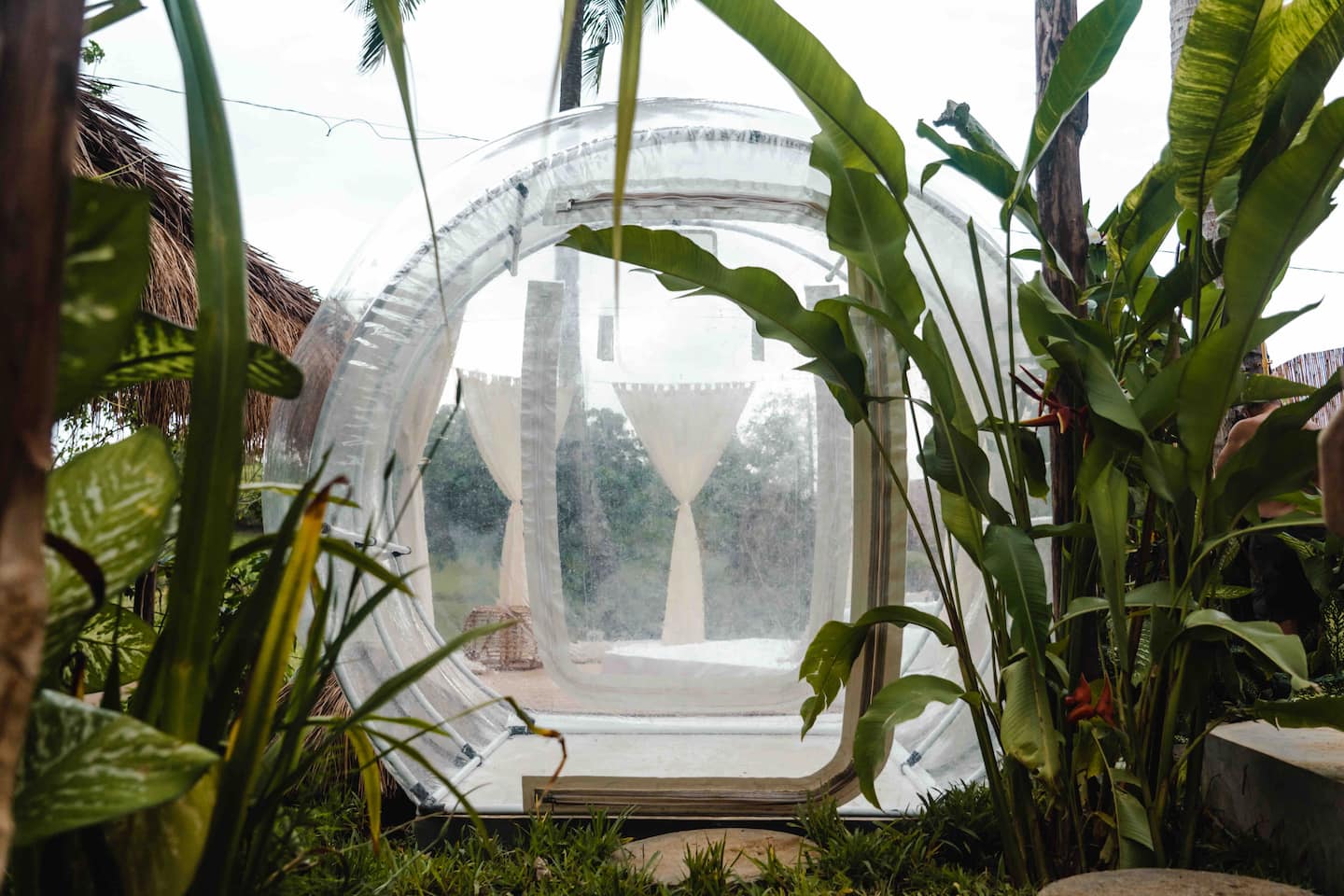 Bubble Siargao image 5