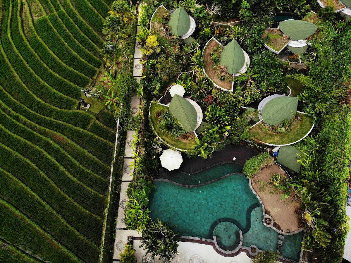 De Moksha Eco Friendly Boutique Resort
 image 3