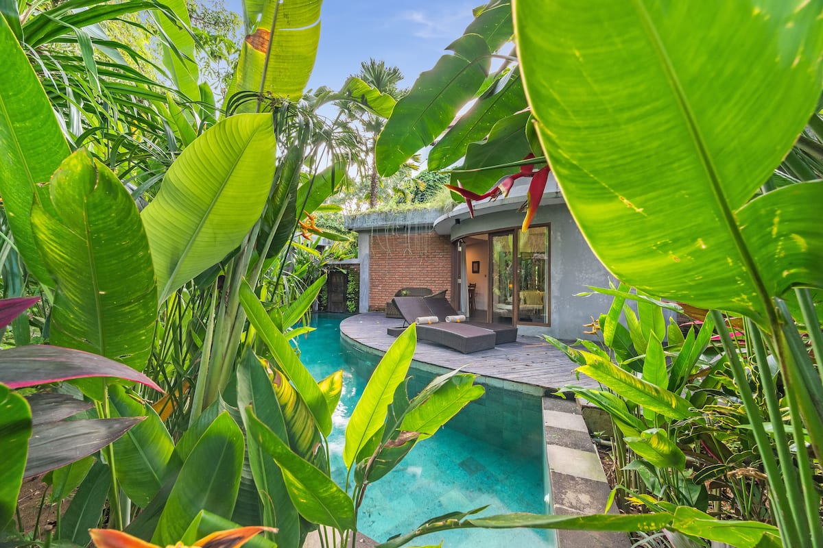 De Moksha Eco Friendly Boutique Resort
 image 6