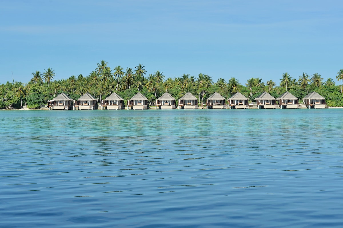 Ayada Maldives (Sunset Ocean Suite) image 1