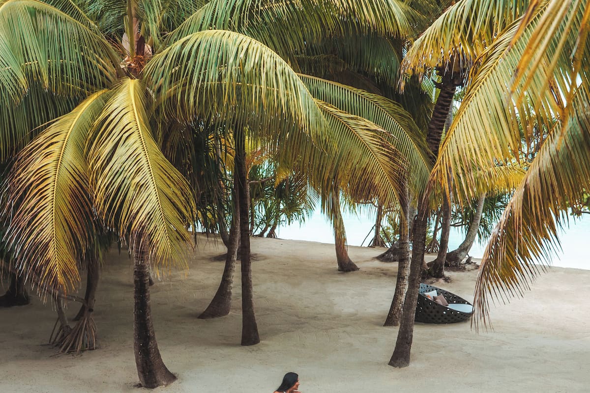 Luxury Villa The Brando, Tetiaroa Private Island image 6