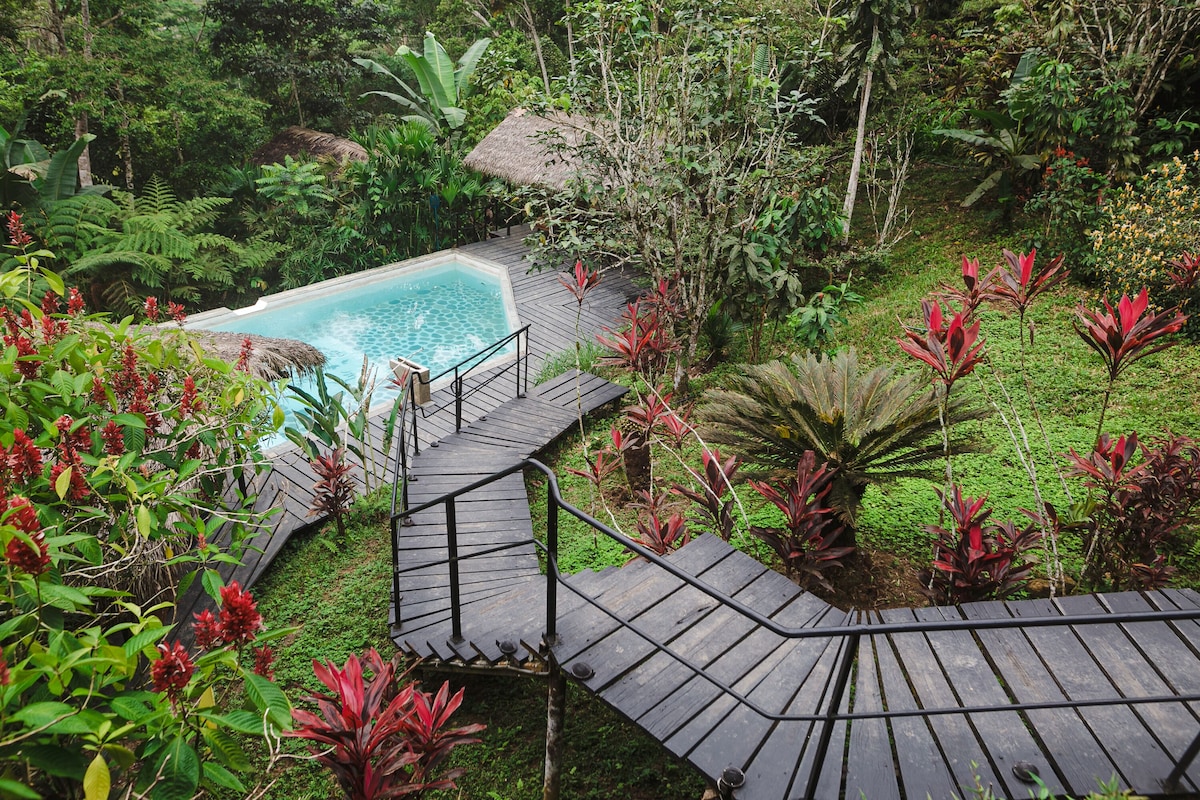 Hamadryade Lodge (Luxury Double) image 10