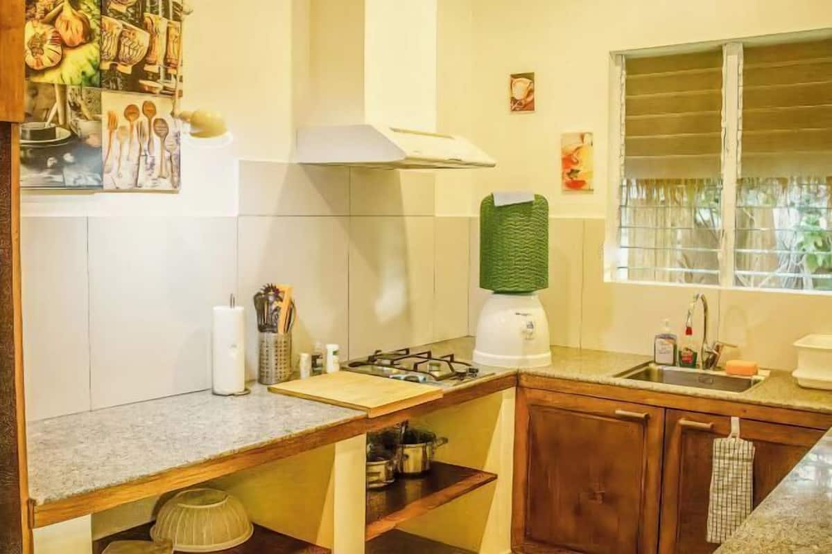 Villa Manga, Halamanan Residences
 image 7