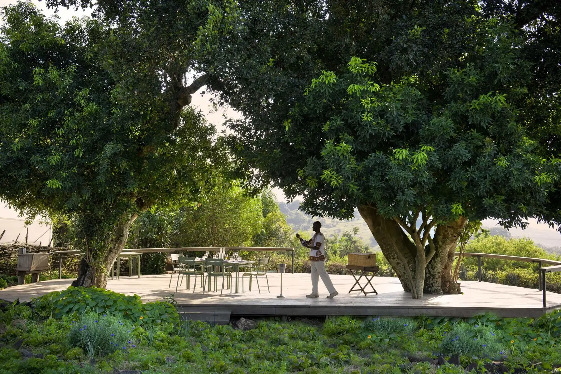 Angama Mara (Tented Suite) image 1