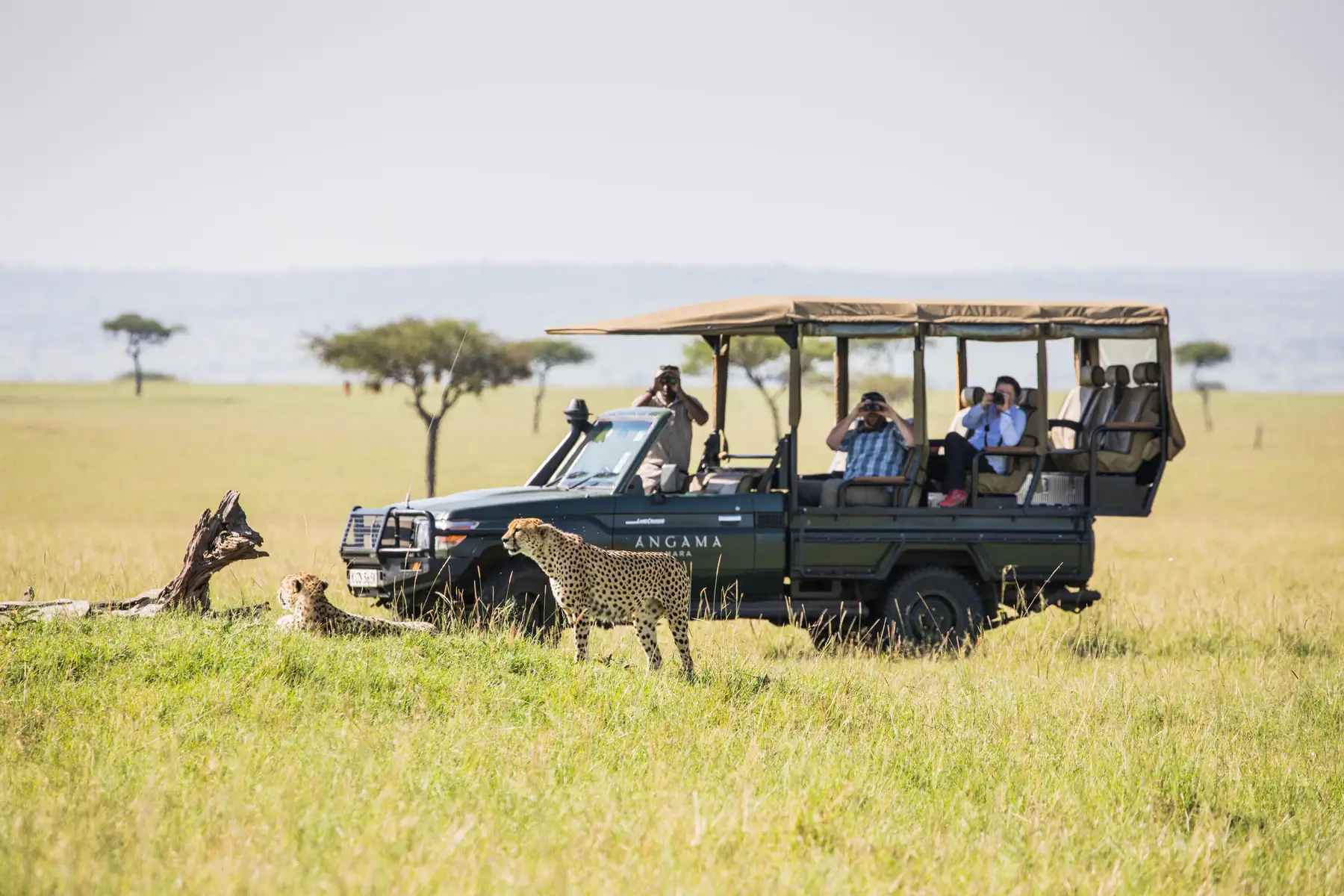 Angama Mara (Tented Suite) image 3