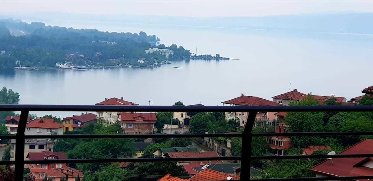 Sawsana Villalari
 image 5