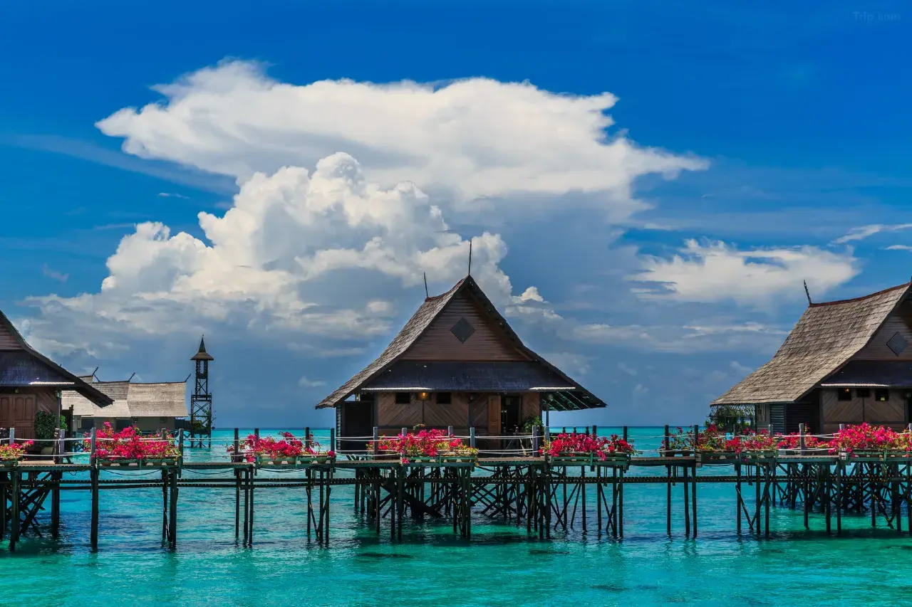 Sipadan Kapalai Dive Resort (Water Chalet) image 5