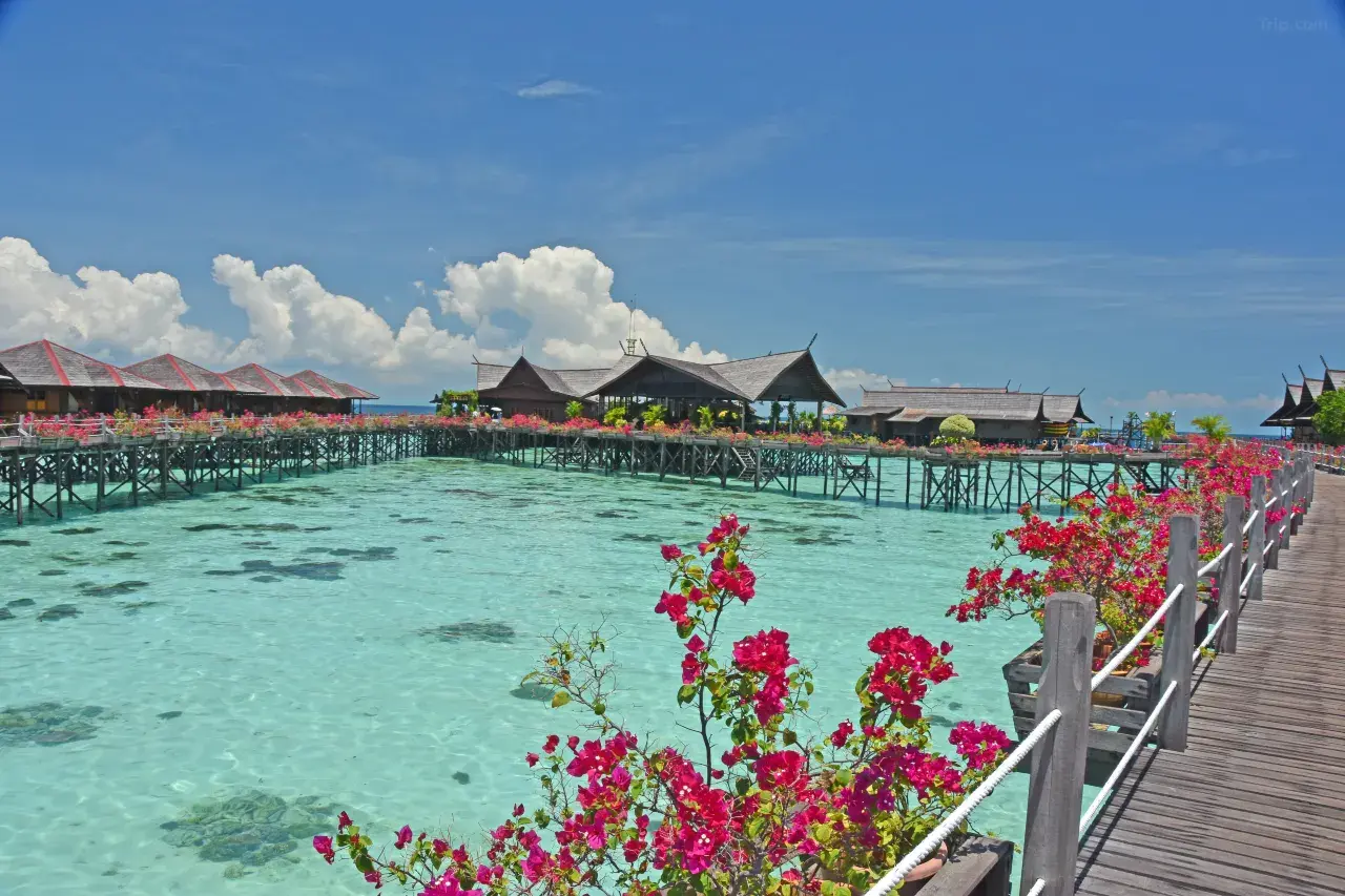 Sipadan Kapalai Dive Resort (Water Chalet) image 10