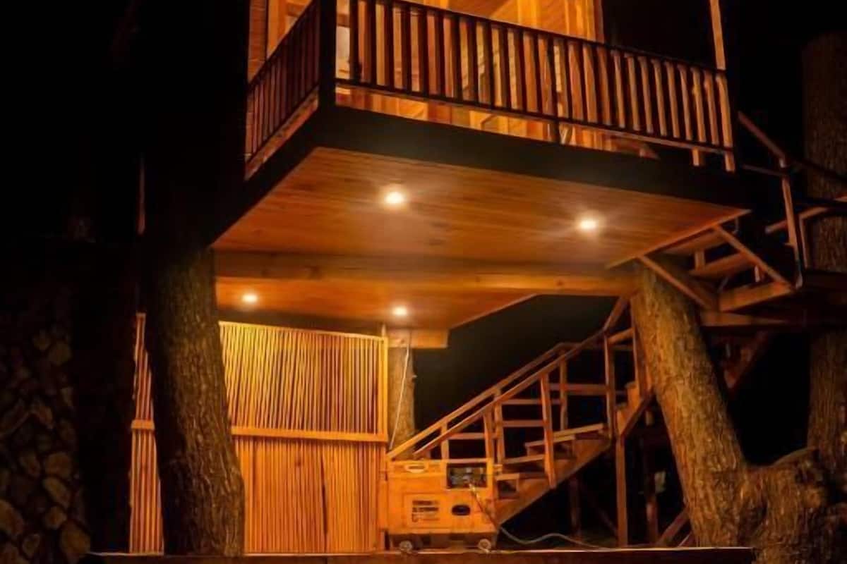Deluxe Cottage, Celine Resorts Kumrat Valley
 image 2