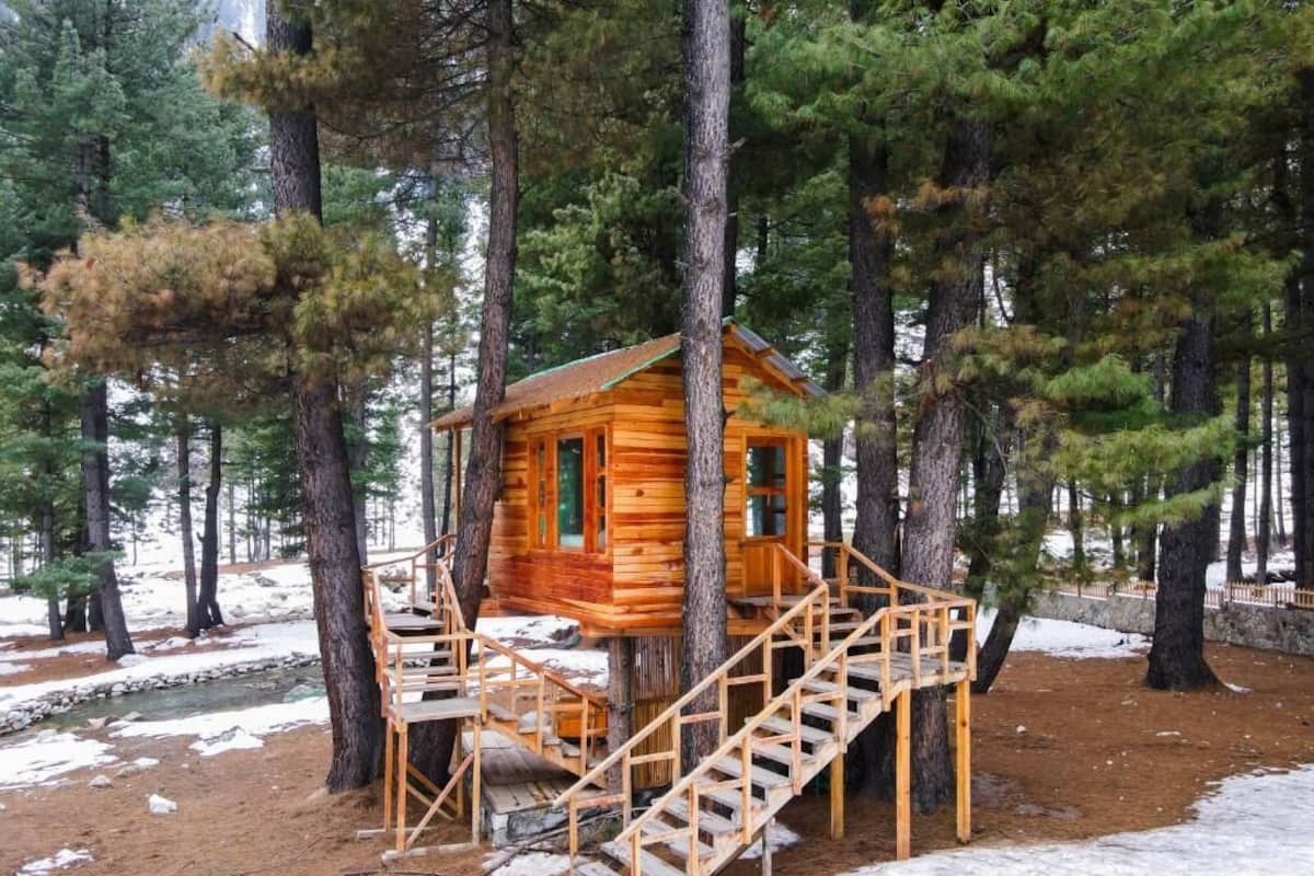 Deluxe Cottage, Celine Resorts Kumrat Valley
 image 4