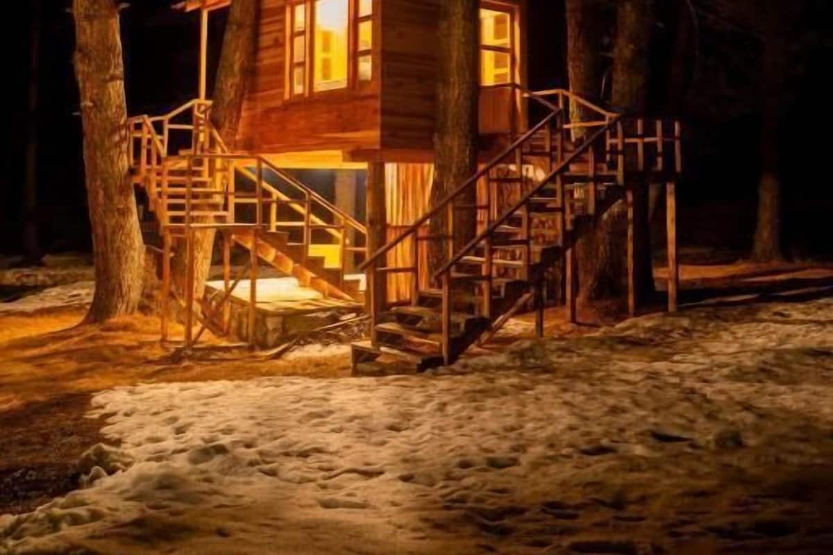 Deluxe Cottage, Celine Resorts Kumrat Valley
 image 5
